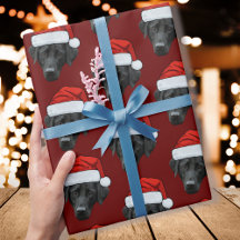 Funny Custom Face Hund Foto Weihnachtsmannmütze We