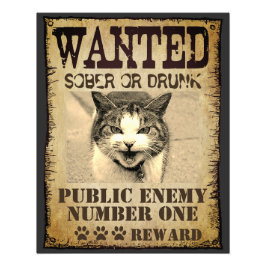 Funny custom gewollt Poster