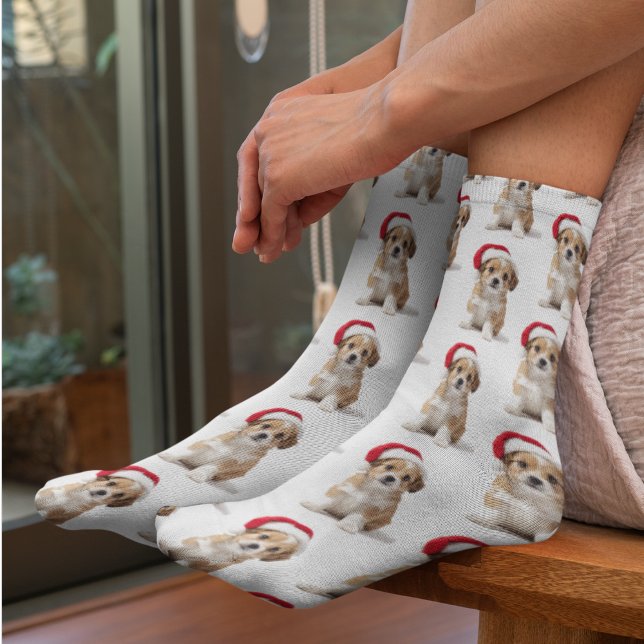 Funny Custom Pet Photo Socks Socken (Von Creator hochgeladen)