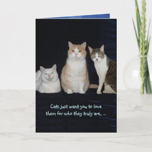 Funny Customizable Cats Karte
