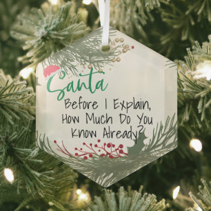 Funny Customizable Lieber Weihnachtsschmuck, Ornament Aus Glas