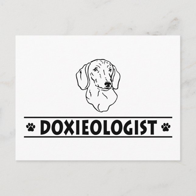 Funny Dackel - glatt Postkarte (Vorderseite)