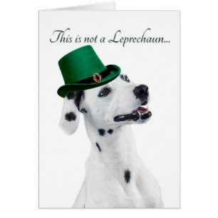 Funny Dalmatiner Leprechaun Card