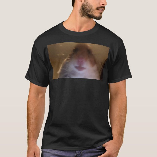 Funny dank Meme Hamster Staring Front Camera Inter T-Shirt (Vorderseite)