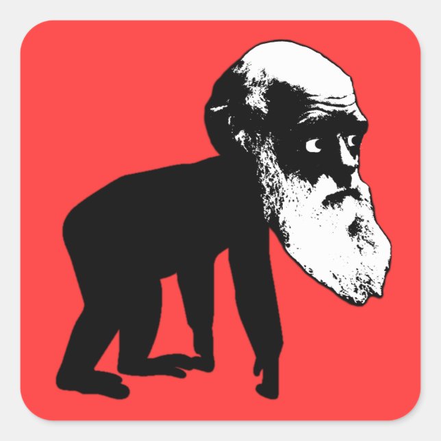 Funny Darwin Evolution Quadratischer Aufkleber (Vorderseite)