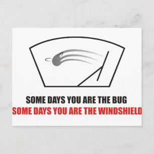 Funny - Das Leben als Bugs auf einer Windschutzsch Postkarte