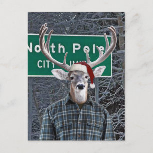 Funny Deer Wear Weihnachtsmannmütze am Nordpol Feiertagspostkarte
