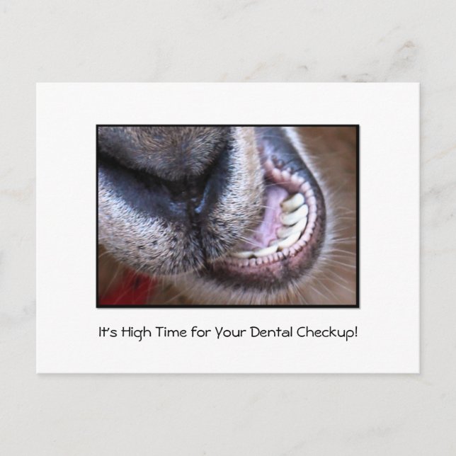 Funny Dental Checkup Erinnerung Ziege Postkarte (Vorderseite)