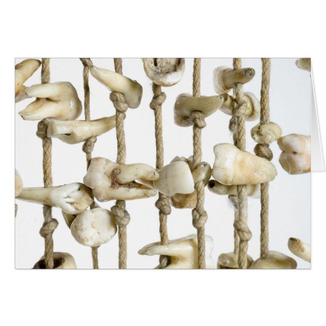 Funny Dental Fotografy Extracted Zähne Zahnarzt (Vorderseite (Horizontal))