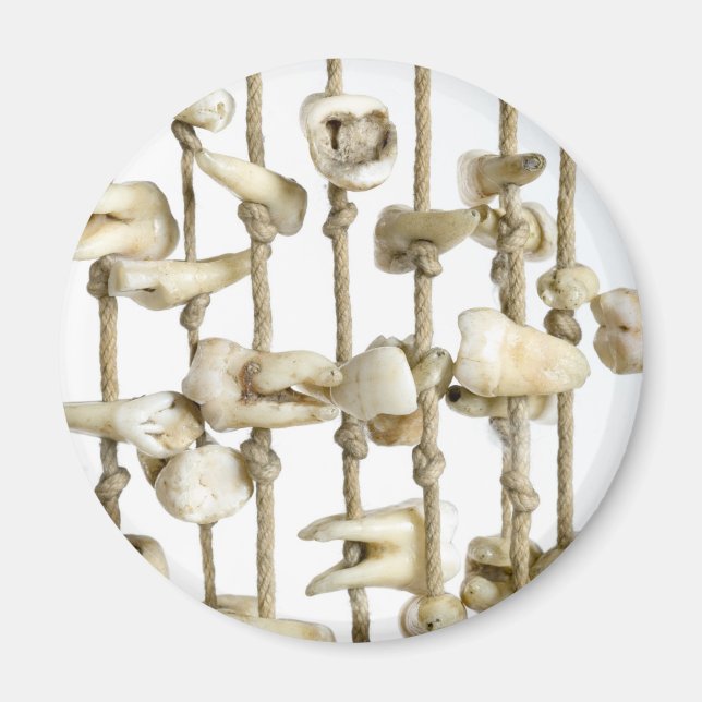 Funny Dental Fotografy Extracted Zähne Zahnarzt Magnet (Vorne)