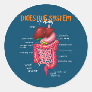 Funny Digestive System Anatomy Anatomical Biology Runder Aufkleber