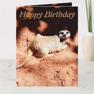Funny Digging Meerkat Jumbo Birthday Card, Karte