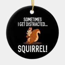 FUNNY DISTRACTED SQUIRREL Animal Zoo Farm