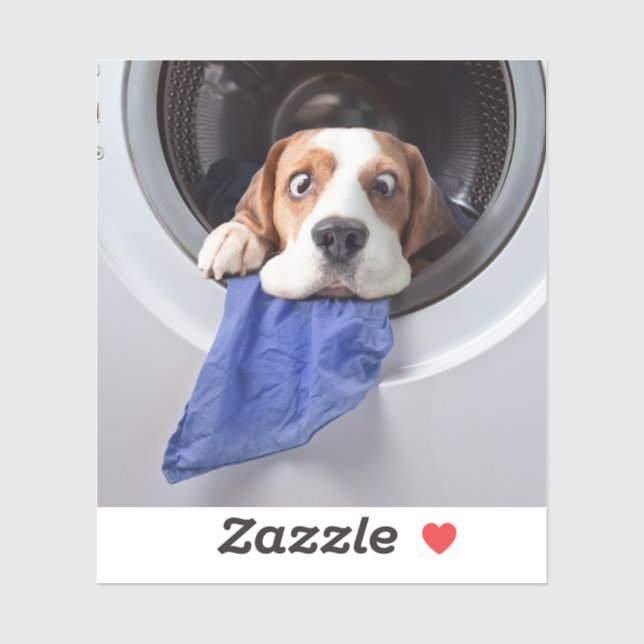 Funny dizzy beagle delicate washing aufkleber (Blatt)