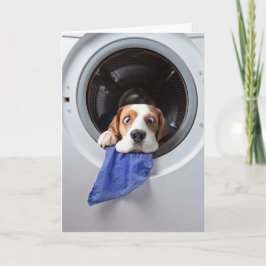 Funny dizzy beagle delicate washing dankeskarte