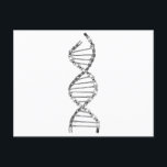 Funny DNA Cycling Bicycle Chain Mountain Bike Lieb Postkarte<br><div class="desc">Funny DNA Cycling Bicycle Chain Mountain Bike Liebhaber</div>