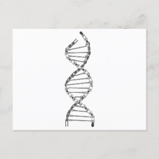 Funny DNA Cycling Bicycle Chain Mountain Bike Lieb Postkarte