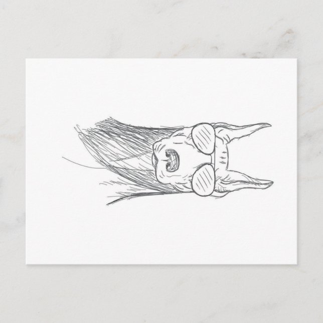 Funny Doberman Hund mit Sonnenbrille Feiertagspostkarte (Vorderseite)