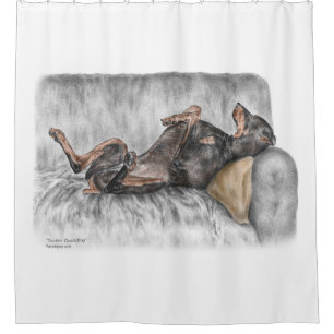 Funny Doberman on Sofa Duschvorhang