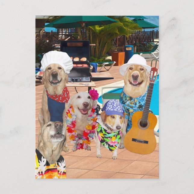 Funny Dog Anpassbare Pool Party Postkarte (Vorderseite)