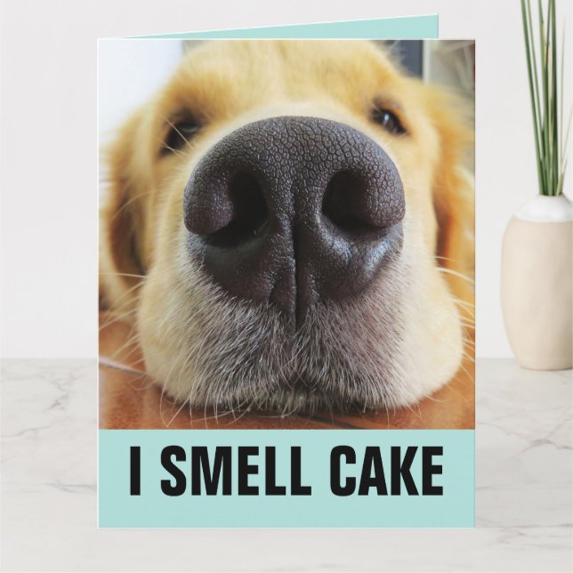 FUNNY DOG BIG BIRTHDAY SMELL CAKE CARD KARTE (Vorderseite)