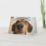 Funny Dog Birthday Card Karte<br><div class="desc">Funny Geburtstagskarte eines Hundes Nase. Im Text steht: "Heute war ich in der Nase" und innen steht: "Es ist dein Geburtstag!"</div>