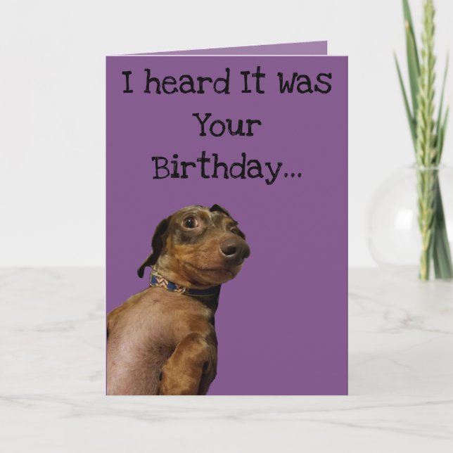 Funny Dog Birthday Card Karte (Vorderseite)