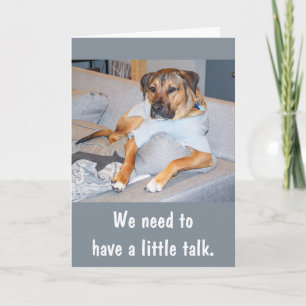 Funny Dog Birthday Card Karte