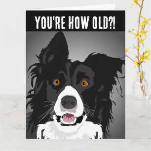 FUNNY DOG BIRTHDAY Grußkarte Karte
