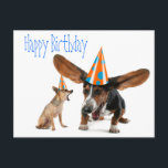 Funny Dog Birthday Postkarte<br><div class="desc">Geburtstagshut mit Hunden ist hier,  um Ihrem Haustier einen guten Geburtstag zu wünschen. Süße Tier Geburtstagskarten. Hundepostkarten für Tierärzte,  Großomere oder alle,  die Tiere Liebe und will,  die Liebe zu verbreiten.</div>