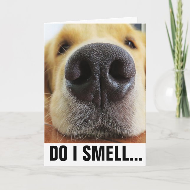 FUNNY DOG BIRTHDAY, SMELL BIRTHDAY CAKE? CARD KARTE (Vorderseite)