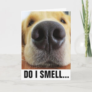 FUNNY DOG BIRTHDAY, SMELL BIRTHDAY CAKE? CARD KARTE