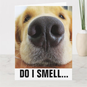 FUNNY DOG BIRTHDAY, SMELL BIRTHDAY CAKE? CARD KARTE