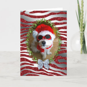 Funny Dog Christmas Card Zebra Glitzer Feiertagskarte