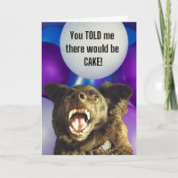 Funny Dog, den du mir erzählt hast, es gäbe Geburt