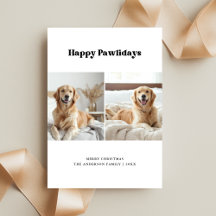 Funny Dog Foto Golden Retriever Pawlidays Haustier