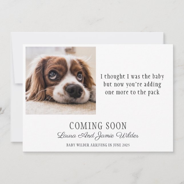 Funny Dog Foto Schwangerschaft Ankündigung (Vorderseite)