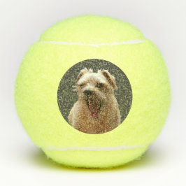 Funny Dog Foto Tennisbälle