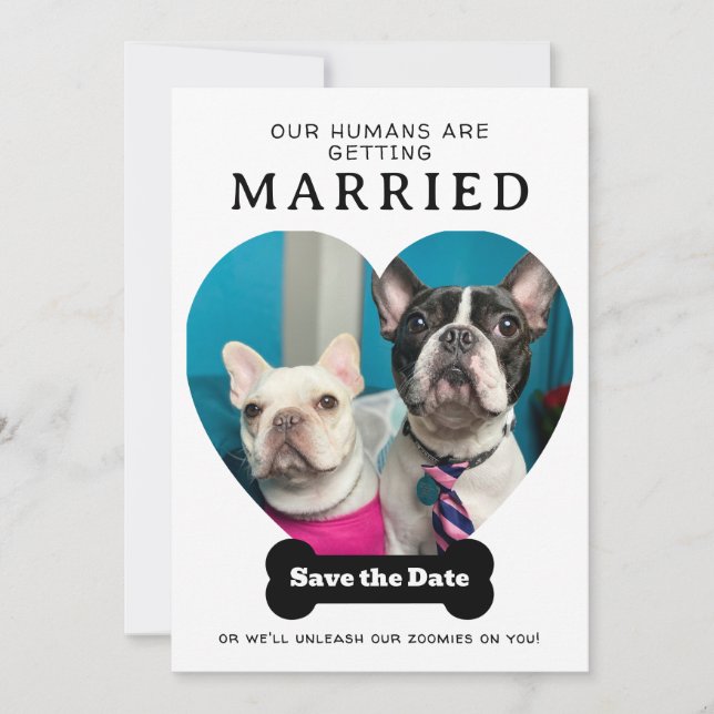 Funny Dog Foto Unsere Menschen werden verheiratet Save The Date (Vorderseite)