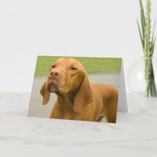 Funny Dog Foto Vizsla Card Karte