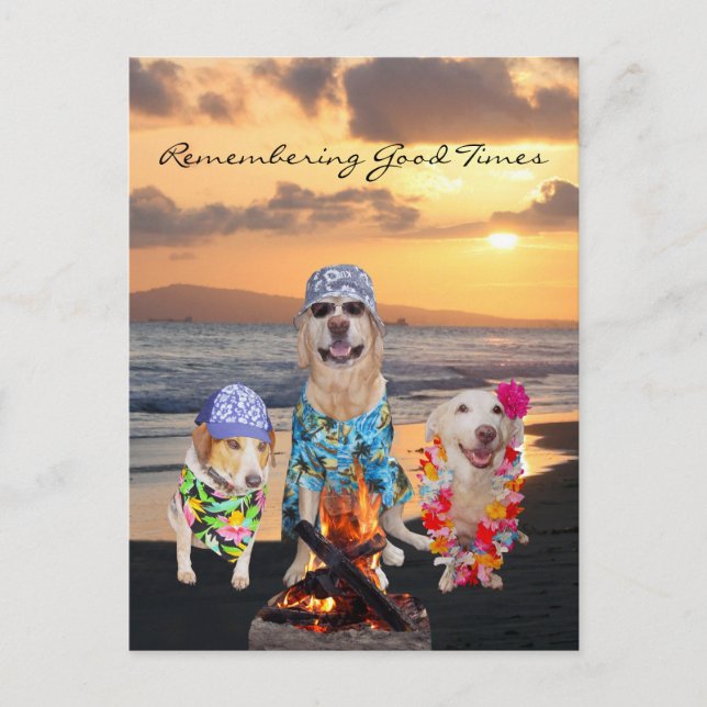Funny Dog Graduation Party auf der Beach Postcard Einladungspostkarte (Vorderseite)