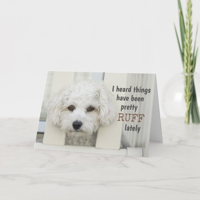 Funny Dog gut bald Ruff Puff Niedlich Motivierend Karte (Vorderseite)