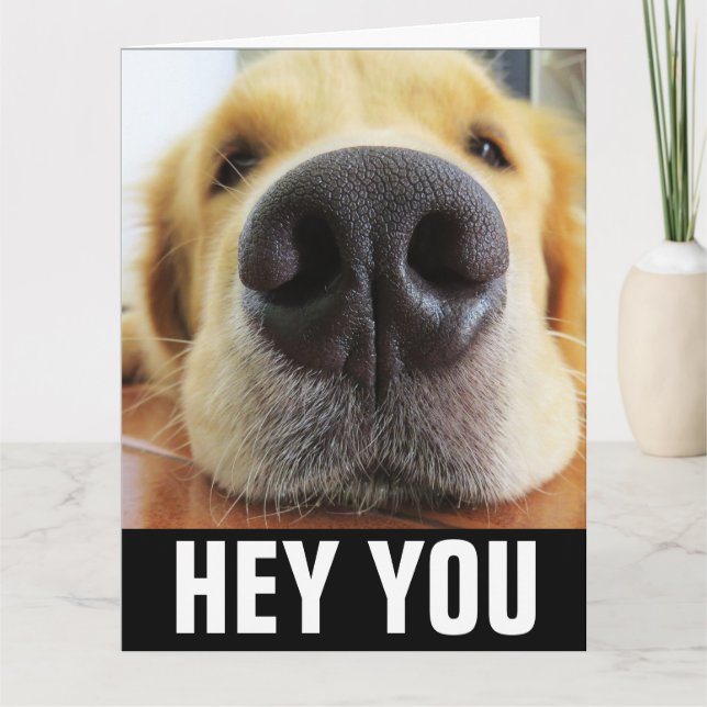 FUNNY DOG HELLO JEDERZEIT GREETKARTE KARTE (Vorderseite)