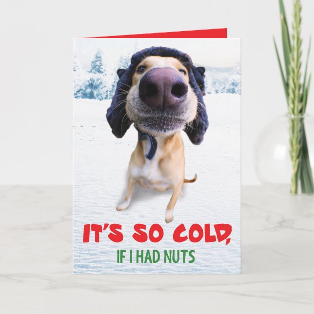 Funny Dog Holiday Card Feiertagskarte (Vorderseite)