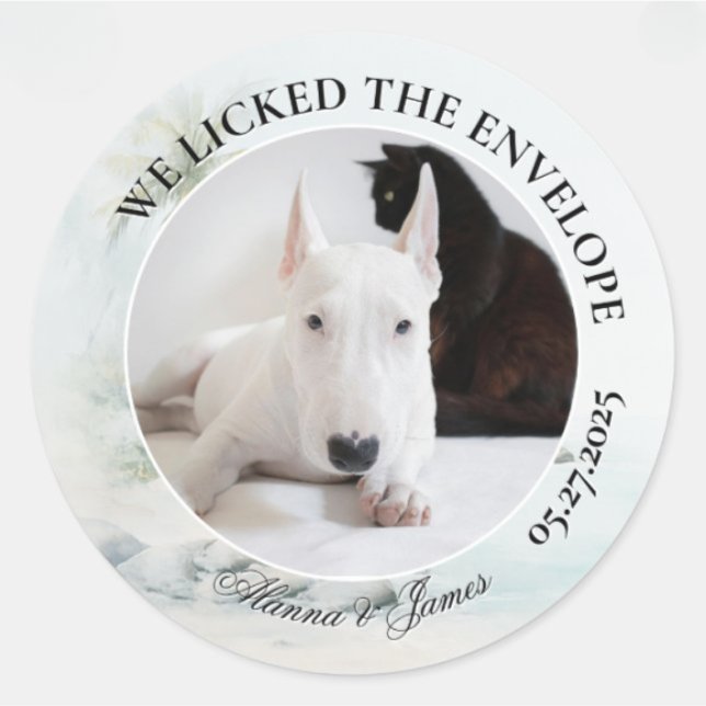 Funny Dog “I Licked the Envelope” Tropical Beach Runder Aufkleber (Round wedding sticker with dog and cat photo, “We Licked the Envelope,” and names Alanna and James.)