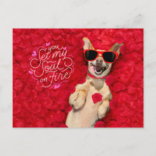 Funny Dog in Rote Rose Petals Happy Valentine's Postkarte