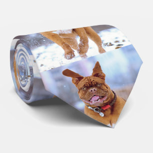 Funny Dog Krawatte