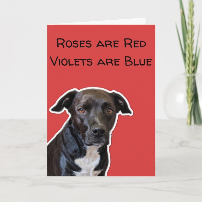 Funny Dog liebt Valentine's Day Card Karte (Vorderseite)