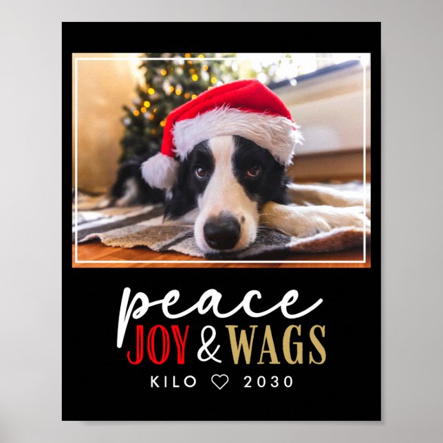Funny Dog Lover Christmas Photo Cute D  Poster (Vorne)