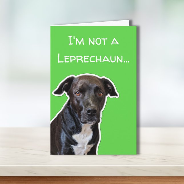Funny Dog Lovers St. Patrick's Day Card Karte (Von Creator hochgeladen)